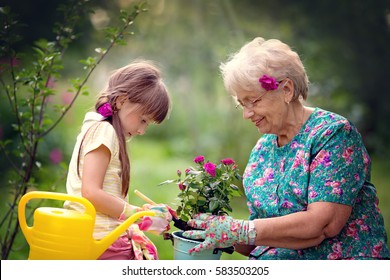 Happy Grandmother with her granddaughter working in the garden.