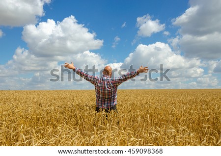 Happy hairless farmer with beard in ripe wheat field with handsup to a blue sky. great harvest