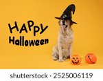 Happy Halloween card with dog in witch hat on orange background