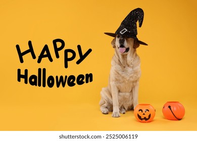 Happy Halloween card with dog in witch hat on orange background - Powered by Shutterstock