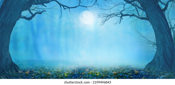 Happy Halloween holiday background with copy space.Dark  landscape with creepy trees and moon. Fairytalle  forest with fog.Ominous sky on Halloween night. - Shutterstock ID 2199496843