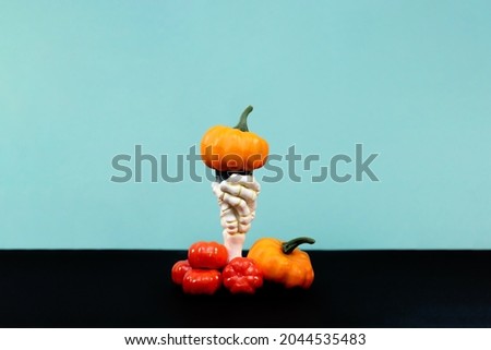Happy Halloween. Many different pumpkins on a blue and black background
