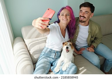 Happy hipster couple with their rough coated dog. Young woman with pink purple hair and her bearded boyfriend taking a selfie with wire haired jack russell terrier. Close up, copy space, background.