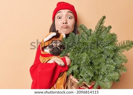 Happy holidays concept. Surprised Asian woman in red hat looks wondered poses with pedigree dog in winter clothes and green spruce branches prepares for New Year isolated over beige studio wall