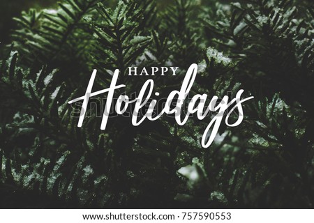 Happy Holidays Text Over Winter Evergreen Branches Covered in Snow