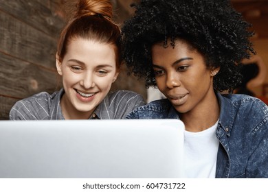 Happy homosexual interracial female lesbian couple enjoying free wi-fi, having fun indoors, watching videos online via social media, using generic laptop computer together at restaurant during lunch - Powered by Shutterstock