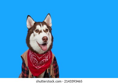 2,689 Husky banner Images, Stock Photos & Vectors | Shutterstock