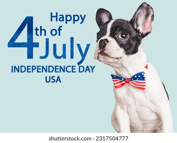 Happy Independence Day. American Flag and cute brown puppy. Closeup, indoors. Studio shot. Congratulations for family, loved ones, friends and colleagues. Pets care concept