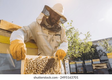 Happy Indian beekeeper takes out a frame with bees and honey from a beehive on a bee farm. The concept of beekeeping - Powered by Shutterstock