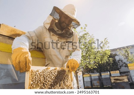 Similar – Image, Stock Photo Beekeeper smokes the beehive