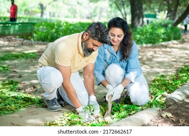 Happy indian couple planting tree in soil outdoor garden activity  environment   reforestation concept 
