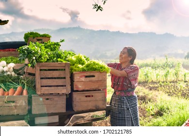 
Happy indigenous woman with fresh vegetables in her truck, in the rural area of ​​Guatemala. - Shutterstock ID 1702121785