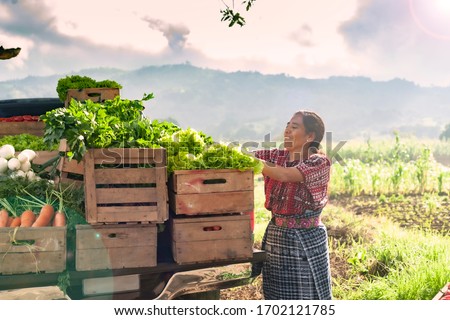 
Happy indigenous woman with fresh vegetables in her truck, in the rural area of ​​Guatemala.