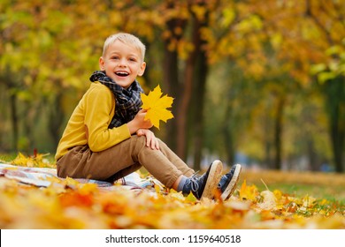 148,552 Kids Autumn Leaves Images, Stock Photos & Vectors | Shutterstock