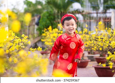 Happy kid having fun with traditional dress (ao dai) in Ochna Integerrima (Hoa Mai) garden. Hoa Mai flower is used for decoration in lunar new year in Vietnam.  Tet holiday. 
