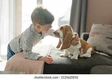 A Happy kid in living room at home with Basset dog