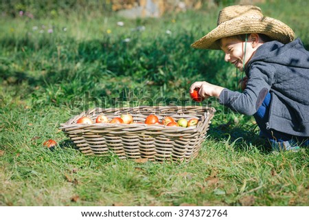 Similar – Happy kid putting apple in wicker basket with harvest