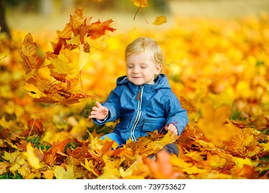 happy kid walks in a beautiful autumn park, plays and fires