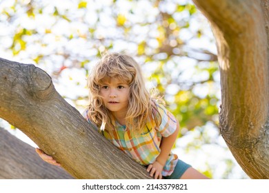 45,439 Climb up a tree Images, Stock Photos & Vectors | Shutterstock