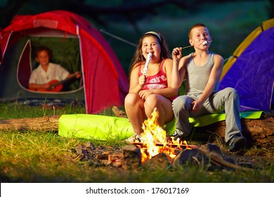 Happy Kids Roasting Marshmallows Around Campfire Stock Photo (Edit Now ...