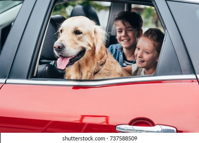 Happy Kids Sitting On Backseats In Car With Dog