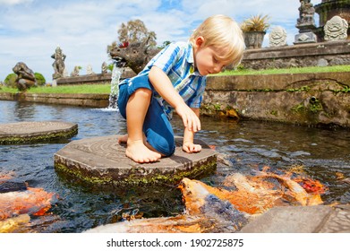 Happy Kids Walk With Fun By Pond Stepping Stones, Feeding Golden Koi Fishes In Tirta Gangga Garden With Natural Water Pools. Culture, Arts Of Bali, Popular Travel Destination In Indonesia.