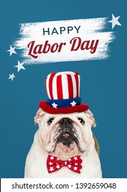 602 Happy labor day with dogs Images, Stock Photos & Vectors | Shutterstock