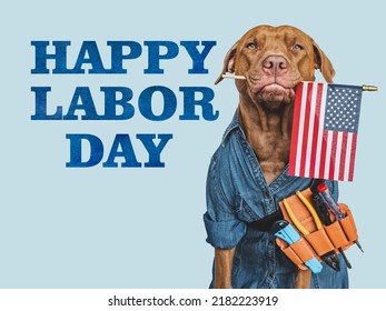HAPPY LABOR DAY. Lovable, pretty brown puppy and hand tools. Closeup, indoors. Studio photo. Congratulations for family, relatives, loved ones, friends and colleagues. Pet care concept - Shutterstock ID 2182223919
