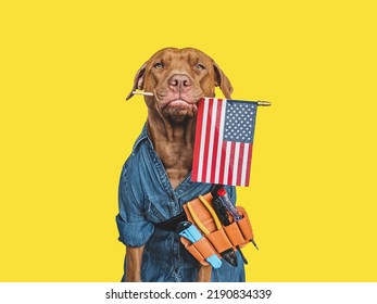 HAPPY LABOR DAY. Lovable, Pretty Brown Puppy And Hand Tools. Closeup, Indoors. Studio Photo. Congratulations For Family, Relatives, Loved Ones, Friends And Colleagues. Pet Care Concept