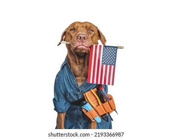 HAPPY LABOR DAY. Lovable, Pretty Brown Puppy And Hand Tools. Closeup, Indoors. Studio Photo. Congratulations For Family, Relatives, Loved Ones, Friends And Colleagues. Pet Care Concept