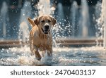 Happy labrador dog in water splashes. Thirsty dog on hot sunny weather