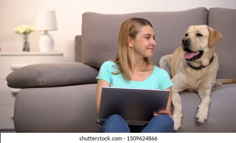 Happy Labrador Retriever Female Owner Buying Dog Food Online Using Laptop Pc