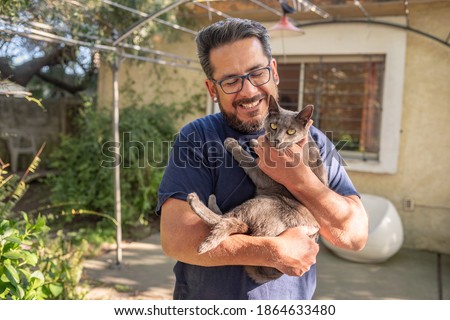 Foto Bild Grinsekatze Tier Haustier