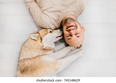 Happy Laughing Adult Man Lying On Wooden Floor. Bald Male Emotions. Guy With His Siberian Husky Dog At Home. Love Animals. Domestic Mammal Puppy Licking Owner Ear. Funny Expressive Leisure Time