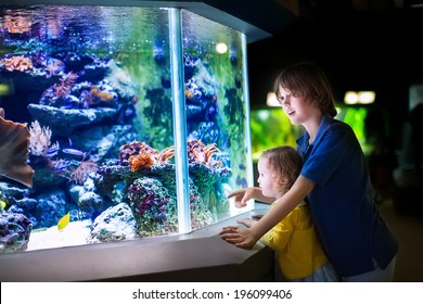 Happy laughing boy and his adorable toddler sister, cute little curly girl watching fishes in a tropical aquarium with coral reef wild life having fun together on a day trip to a modern city zoo