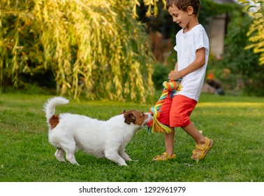 Happy Laughing Kid Boy Playing With His Dog Pulling Doggy Cotton Rope Toy