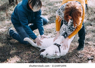 Happy Lesbian Couple Cuddling A Dog While Walking In The Forest