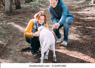 Happy Lesbian Couple Walking In The Forest With A Dog