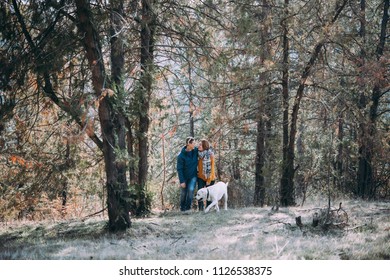 Happy Lesbian Couple Walking In The Forest With A Dog