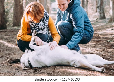 Happy Lesbian Couple Walking In The Forest With A Dog