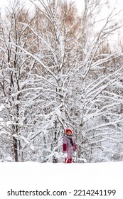 Happy Little African-American Girl In A Red Hat And Jumpsuit Walks In The Winter Forest.Beautiful Trees Are Covered With White Snow.Winter Fun,active Lifestyle Concept.Selective Focus,copy Space.