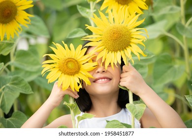 happy little asian girl having fun among blooming sunflowers under the gentle rays of the sun. child and sunflower, summer, nature and smiling. summer holiday. little girl plays with sunflowers.