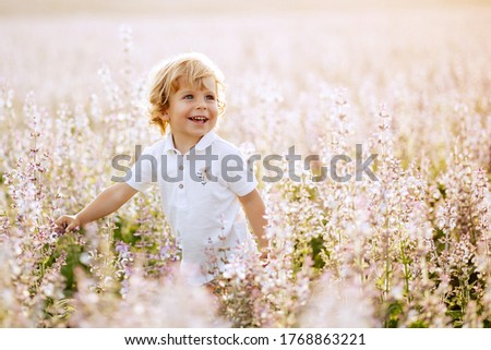 Happy little boy with blonde curly hair in pink sage field smiling, sunny day, outdoors. Child running on meadow in summer in nature. Kid with straw hat playing in wild flowers field at sunset.