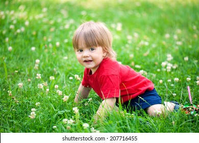 44,353 Crawling grass Images, Stock Photos & Vectors | Shutterstock