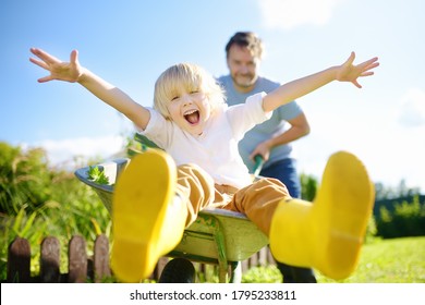 Happy little boy having fun in a wheelbarrow pushing by dad in domestic garden on warm sunny day. Active outdoors games for family with kids in the backyard during harvest time