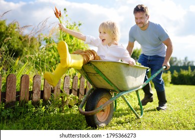 Happy little boy having fun in a wheelbarrow pushing by dad in domestic garden on warm sunny day. Active outdoors games for family with kids in the backyard during harvest time - Powered by Shutterstock