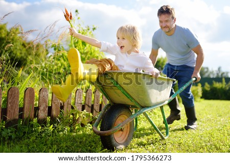 Happy little boy having fun in a wheelbarrow pushing by dad in domestic garden on warm sunny day. Active outdoors games for family with kids in the backyard during harvest time