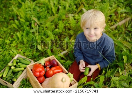 Similar – Portrait of happy kid putting apples in wicker basket