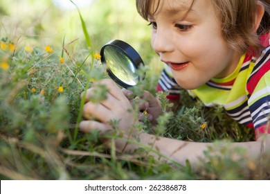 Happy little boy looking through magnifying glass on a sunny day