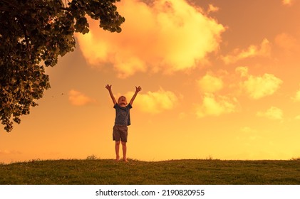 Happy Little Boy In Mature With Arms Reaching Up To The Sunset Sky.